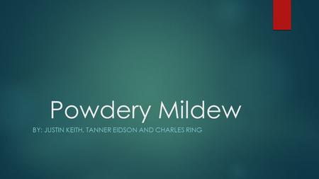 Powdery Mildew BY: JUSTIN KEITH, TANNER EIDSON AND CHARLES RING.