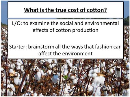 What is the true cost of cotton? L/O: to examine the social and environmental effects of cotton production Starter: brainstorm all the ways that fashion.