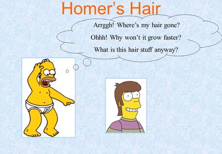 Homer’s Hair Arrggh! Where’s my hair gone? Ohhh! Why won’t it grow faster? What is this hair stuff anyway?