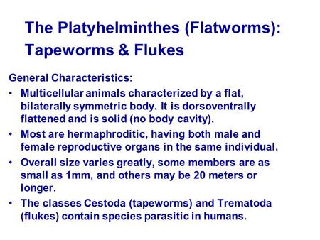The Platyhelminthes (Flatworms): Tapeworms & Flukes General Characteristics: Multicellular animals characterized by a flat, bilaterally symmetric body.