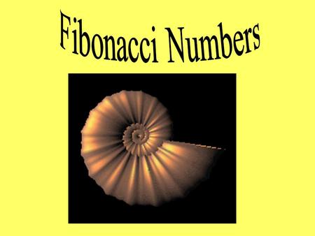Fibonacci Numbers.