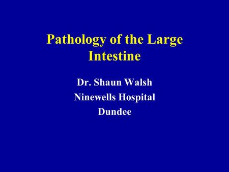 Pathology of the Large Intestine Dr. Shaun Walsh Ninewells Hospital Dundee.