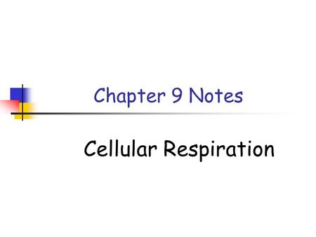 Chapter 9 Notes Cellular Respiration.