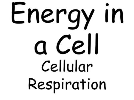 Energy in a Cell Cellular Respiration.