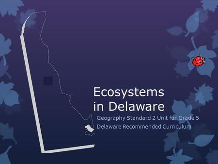 Ecosystems in Delaware