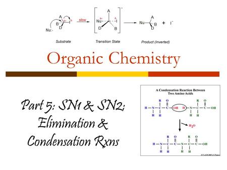 Part 5: SN1 & SN2; Elimination & Condensation Rxns