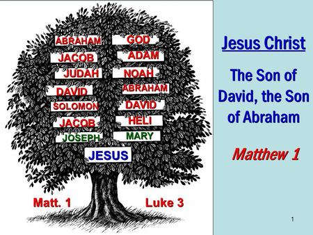 1 JESUS Matthew 1 Jesus Christ The Son of David, the Son of Abraham Jesus Christ The Son of David, the Son of Abraham JOSEPH MARY DAVID ABRAHAM DAVID ABRAHAM.