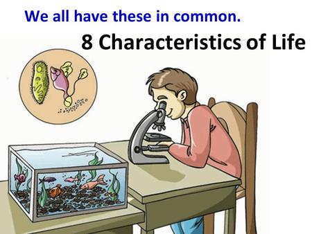 Characteristics of Life. Living things share 8 characteristics:   things are made up of cells.  organism is composed of at least one  cell. - ppt download