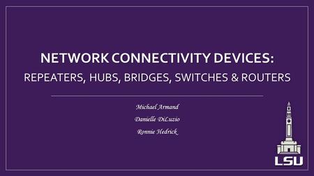 NETWORK CONNECTIVITY DEVICES: REPEATERS, HUBS, BRIDGES, SWITCHES & ROUTERS Michael Armand Danielle DiLuzio Ronnie Hedrick.