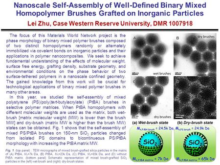 Nanoscale Self-Assembly of Well-Defined Binary Mixed Homopolymer Brushes Grafted on Inorganic Particles Lei Zhu, Case Western Reserve University, DMR 1007918.