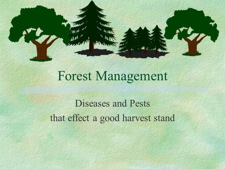 Forest Management Diseases and Pests that effect a good harvest stand.