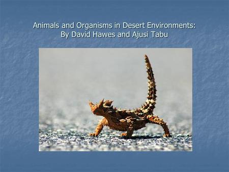 Animals and Organisms in Desert Environments: By David Hawes and Ajusi Tabu.