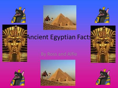 Ancient Egyptian Facts