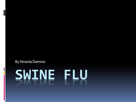 By Ninorta Dammo.  Swine flu begins in pigs.  It is also called H1N1.