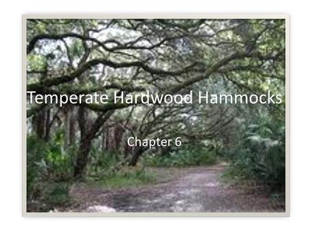 Temperate Hardwood Hammocks Chapter 6. Hardwoods Hardwoods – broad-leafed flowering trees, usually deciduous Softwoods – cone-bearing trees; have needles,