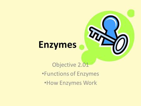 Enzymes Objective 2.01 Functions of Enzymes How Enzymes Work.