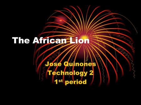 The African Lion Jose Quinones Technology 2 1 st period.