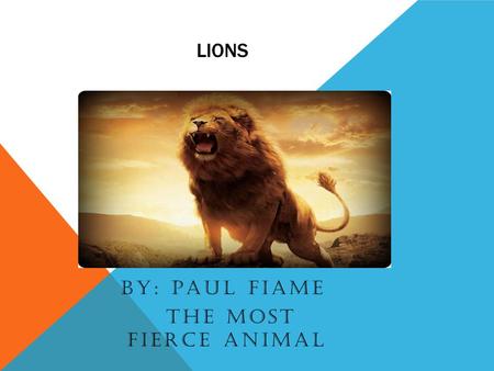LIONS BY: PAUL FIAME THE MOST FIERCE ANIMAL. FACTS Lions are the only cats who live in groups which are called prides Prides have up to three males and.