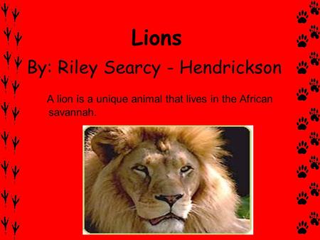 Lions By: Riley Searcy - Hendrickson A lion is a unique animal that lives in the African savannah.