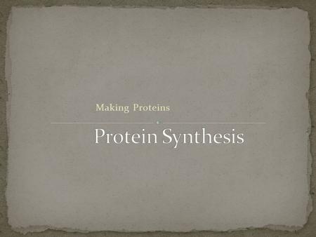 Making Proteins Cell Structure (80% of cell membrane is proteins) Transport Channels Cell Processing Hormones (signals) Enzymes What else?