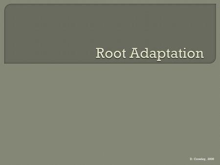 Root Adaptation D. Crowley, 2008.