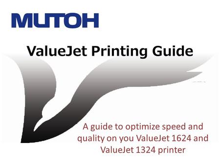 ValueJet Printing Guide