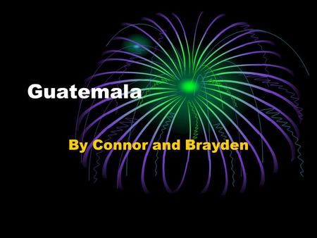 Guatemala By Connor and Brayden. Wildlife and Plants Some animals of Guatemala include: the Maya mouse, Guatemalan brown bat, deer mouse, and the quetzal.