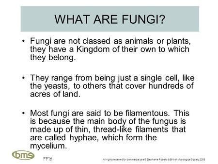 FF16 All rights reserved for commercial use © Stephanie Roberts & British Mycological Society 2005 WHAT ARE FUNGI? Fungi are not classed as animals or.