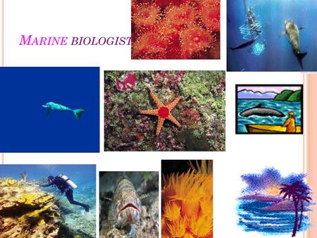 M ARINE BIOLOGIST. ..F ACTS PAGE.. 1-In Western Australia, there are approximately 50 marine biologists. 2-While 79% of marine biologists are male, it's.