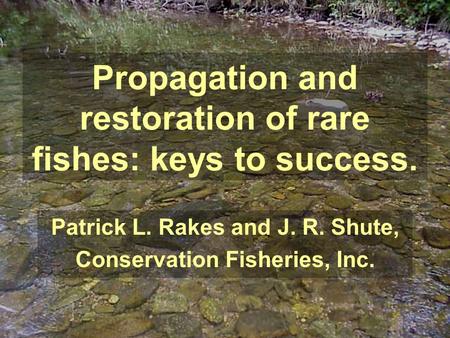 Propagation and restoration of rare fishes: keys to success.