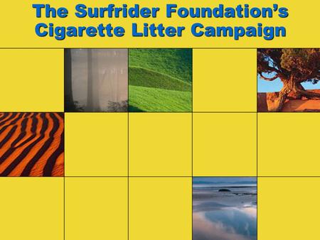 The Surfrider Foundation’s Cigarette Litter Campaign