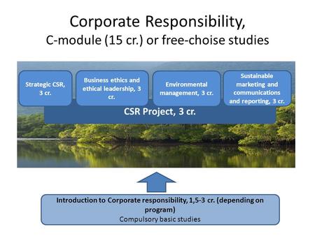 CSR Project, 3 cr. Corporate Responsibility, C-module (15 cr.) or free-choise studies Introduction to Corporate responsibility, 1,5-3 cr. (depending on.