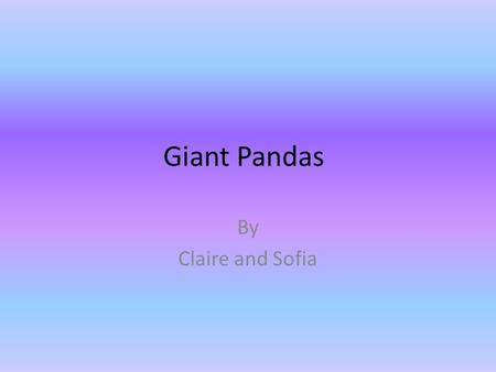 Giant Pandas By Claire and Sofia. Table of Contents How giant pandas communicate What giant pandas eat Cubs How long giant pandas live Other facts about.