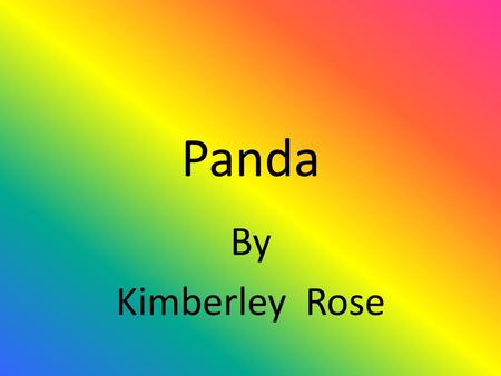 Panda By Kimberley Rose.