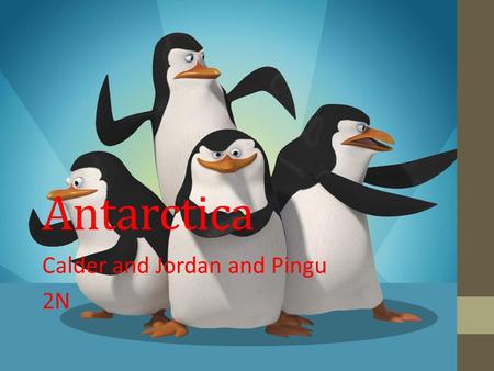 Antarctica Calder and Jordan and Pingu 2N. Questions What is the capital of Antarctica? Why is Antarctica considered a desert? Two examples of animals.