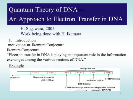 1 Quantum Theory of DNA— An Approach to Electron Transfer in DNA H. Sugawara, 2005 Work being done with H. Ikemura 1.Introduction motivation ⇔ Ikemura.
