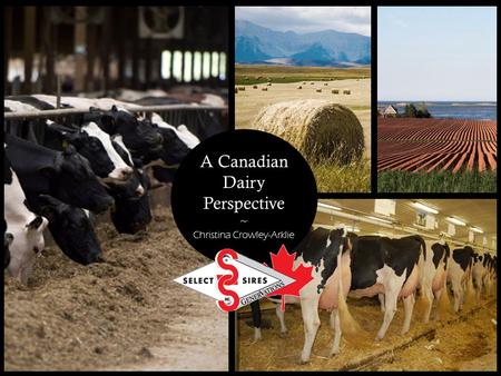 A Canadian Dairy Perspective ~ Christina Crowley-Arklie.