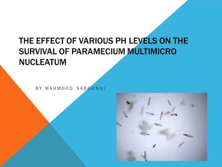 The Effect of Various pH levels on the Survival of Paramecium multimicro nucleatum By Mahmood Saboungi.