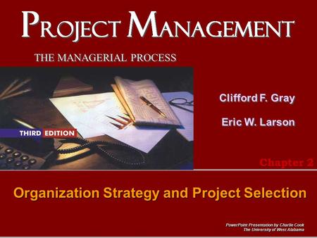 Organization Strategy and Project Selection