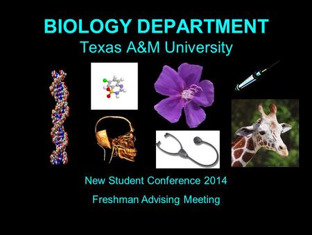 BIOLOGY DEPARTMENT Texas A&M University New Student Conference 2014 Freshman Advising Meeting.