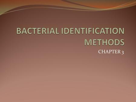CHAPTER 3. Content purification of cultures morphological and pureculture studies biochemical tests.