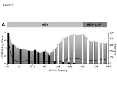 Figure 1A ADV ADV+LAM 0 2 4 6 8 HBV DNA (Log IU/mL) 0 100 200 300 400 500 ALT (IU/mL) A Months of therapy M0M7M14M21M28M35M42M48M56.
