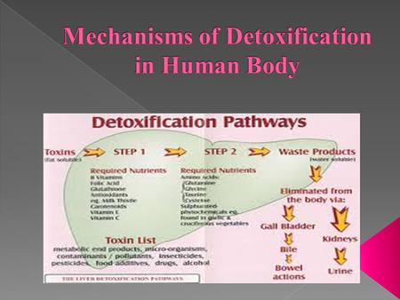 The human body has four main excretory pathways that remove environmental toxins (exogenous toxins), as well as toxic prod­ucts produced by the body.