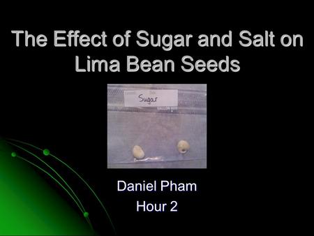 The Effect of Sugar and Salt on Lima Bean Seeds