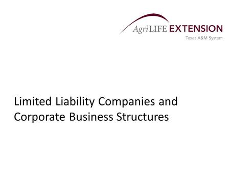 Limited Liability Companies and Corporate Business Structures.