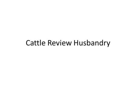 Cattle Review Husbandry. Life Expectancy
