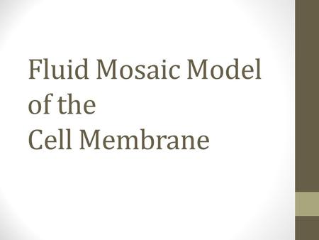 Fluid Mosaic Model of the Cell Membrane. Function of the Cell Membrane All living cells exist in a aqueous medium The contents of cells are physically.