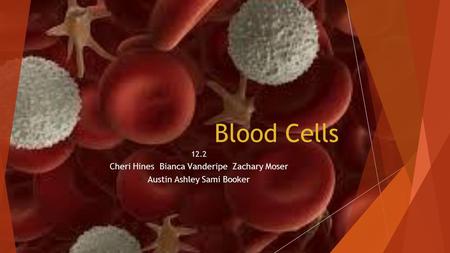 Blood Cells 12.2 Cheri Hines Bianca Vanderipe Zachary Moser Austin Ashley Sami Booker.