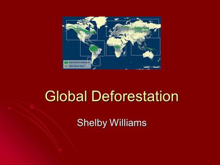 Global Deforestation Shelby Williams.