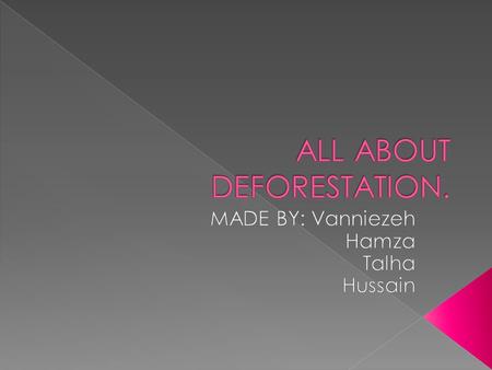 ALL ABOUT DEFORESTATION.
